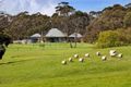 Property photo of 111 Hyslops Road Main Ridge VIC 3928