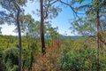 Property photo of 167 Henri Robert Drive Clagiraba QLD 4211