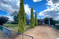 Property photo of 24 Brookview Street Trundle NSW 2875
