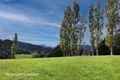 Property photo of 287 Braeside Road Franklin TAS 7113