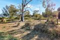 Property photo of 46/47 Kookaburra Lane Murbko SA 5320