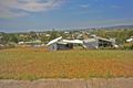 Property photo of 31 Marsupial Drive Pottsville NSW 2489