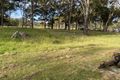 Property photo of 9211 Mount Lindesay Road Legume NSW 2476