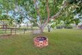 Property photo of 14 Dundee Road Ambrose QLD 4695