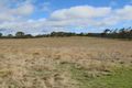 Property photo of 630 Bryans Gap Road Tenterfield NSW 2372