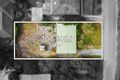 Property photo of 24 Leslie Road Clarinda VIC 3169