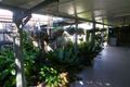 Property photo of 8 Bernarra Street Rasmussen QLD 4815