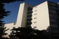 Property photo of 126/40 Bayswater Road Rushcutters Bay NSW 2011