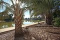 Property photo of 9 Nanda Court Patterson Lakes VIC 3197