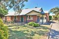 Property photo of 12 Rowells Road Lockleys SA 5032