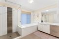 Property photo of 17 Hall Street Northgate QLD 4013
