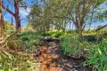 Property photo of 238 Ball Road Peeramon QLD 4885