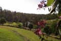 Property photo of 222 Mingo Road Morganville QLD 4671