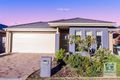 Property photo of 34 Paddle Street The Ponds NSW 2769