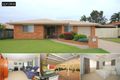 Property photo of 51 Dover Street Pialba QLD 4655