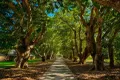 Property photo of 7 Naldham Close Forest Lake QLD 4078