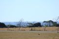 Property photo of 1149 Port Sorell Road Northdown TAS 7307
