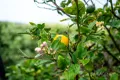 Property photo of 70 King Street Smithton TAS 7330