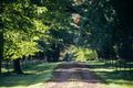 Property photo of 265 Bundanoon Road Exeter NSW 2579