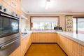 Property photo of 14 Cassidy Avenue Muswellbrook NSW 2333