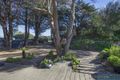 Property photo of 121 Dundas Street Rye VIC 3941