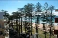 Property photo of 24/66 North Steyne Manly NSW 2095