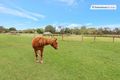 Property photo of 33 Daffodil Street Tallebudgera QLD 4228