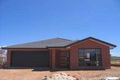 Property photo of 37 Gordon Withnall Crescent Dunlop ACT 2615