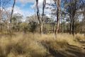 Property photo of 458 Kumbia Road Ellesmere QLD 4610