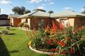 Property photo of 15 Midgeon Street Narrandera NSW 2700
