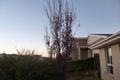 Property photo of 6 Dagmar Berne Street Macgregor ACT 2615