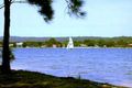 Property photo of 1 Pine Avenue Davistown NSW 2251