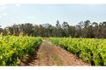 Property photo of 634 Hermitage Road Pokolbin NSW 2320
