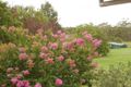 Property photo of 55 Grose Road Faulconbridge NSW 2776