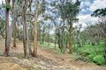 Property photo of 17 Mathiesons Road Wandong VIC 3758