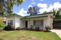 Property photo of 395 Hedley Crescent Lavington NSW 2641
