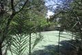 Property photo of 43 Cedar Drive Stapylton QLD 4207