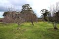 Property photo of 9 Greigs Flat Road Greigs Flat NSW 2549