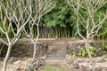 Property photo of 18 Sunset Drive Goonellabah NSW 2480