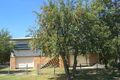 Property photo of 346 Irving Avenue Frenchville QLD 4701