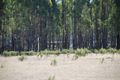 Property photo of 680 Willow Road Murchison VIC 3610