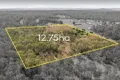 Property photo of 206 Poplar Street Walloon QLD 4306