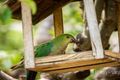 Property photo of 36 Kangaroo Ground-Warrandyte Road North Warrandyte VIC 3113