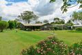 Property photo of 23 Calvin Street Walloon QLD 4306