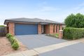 Property photo of 19 Osprey Street Harrison ACT 2914