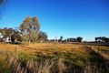 Property photo of 10 Osborne Street Urana NSW 2645