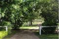 Property photo of 11 Currawong Place Bellmere QLD 4510