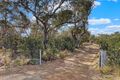 Property photo of 249 Dolphin Sands Road Dolphin Sands TAS 7190