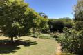 Property photo of 16A Queen Street St Arnaud VIC 3478