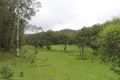 Property photo of 1341A Putty Valley Road Putty NSW 2330